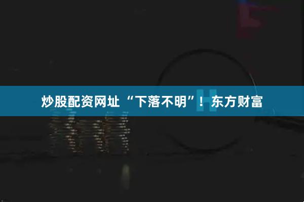 炒股配资网址 “下落不明”！东方财富