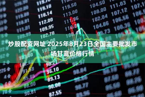 炒股配资网址 2025年8月23日全国主要批发市场甘蓝价格行情